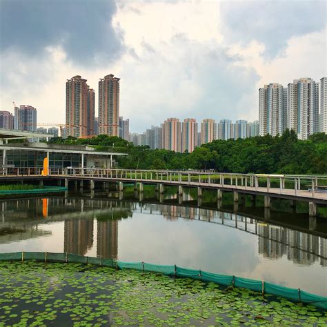 Hong Kong Wetland Park 2023 Lo Que Se Debe Saber Antes De Viajar