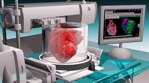 The Future Of 3d Printing Replication Of Human Organs 3d Printing