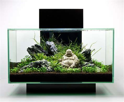 Image Result For Aquarium Temple Aquascaping Fish Tank Terrarium