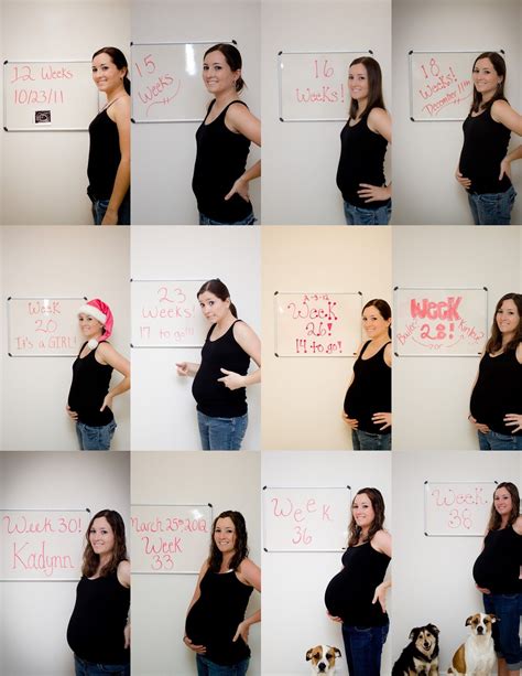 The Belly Guide Pregnant Yoiki Guide