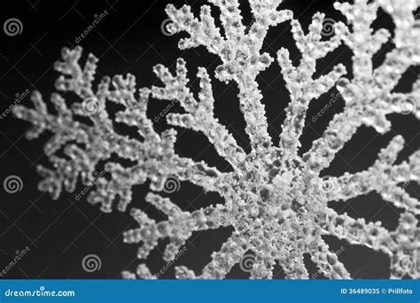 Artificial Snowflake Stock Image Image Of Concepts Physics 36489035
