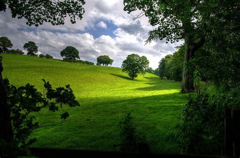 Landscape Spring Wood Scenic Green Trees Nature Meadow Sun