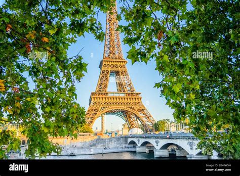 Eiffel Tower Paris France View Through Maple Leaf Stock Photo Alamy