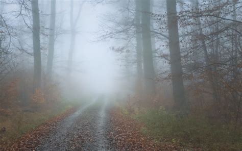 Download Wallpaper 3840x2400 Fog Road Trees Forest Autumn 4k Ultra