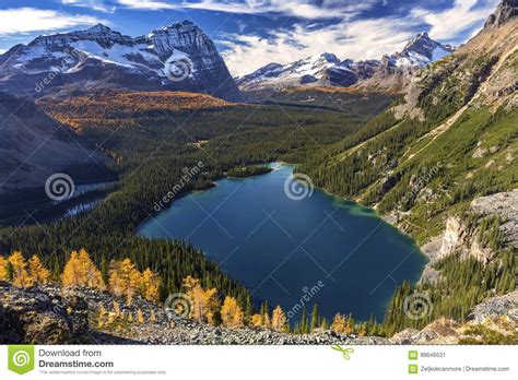 Lake O Hara Landscape In Yoho National Park Canada Stock Image Image