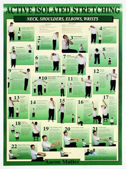 Ais Upper Body Workout Chart Stretching Usa