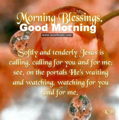 Morning Blessings Good Morning Pictures Photos And Images For