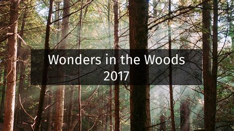 Wonders In The Woods 2017 Youtube