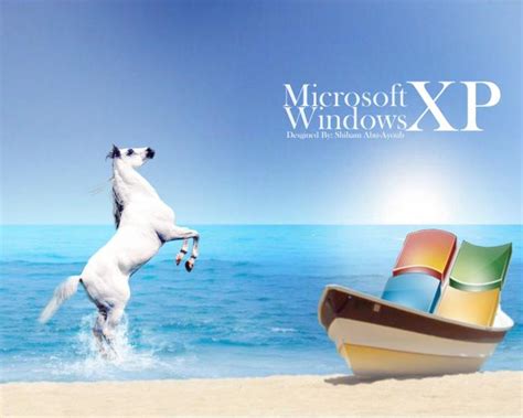 48 Funny Windows Xp Wallpaper On Wallpapersafari