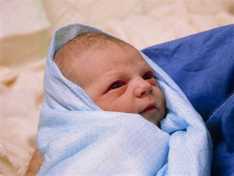 Face Of A Healthy Newborn Baby Boy Stock Image M8150238 Science