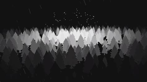 Black And White Forest 1920×1080 Hd Wallpapers