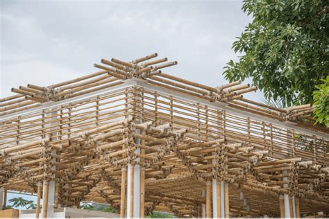 How Eco Friendly Bamboo Can Be Used To Improve Sustainability 2023