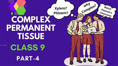 Complex Permanent Tissue Tissue Xylem Phloem Class 9 Biology