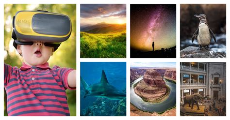 40 Virtual Field Trips For Kids Kids Activities Blog