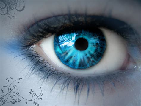 Eye - Eyes Photo (19801145) - Fanpop