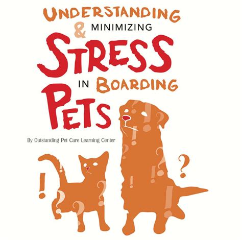 Understanding And Minimizing Stress In Boarding Pets Pet Boarding And