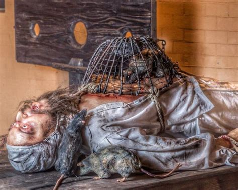 Why Rat Torture May Be Historys Worst Torture Method