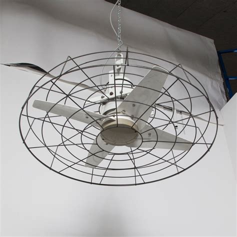 Ceiling Fan Safety Cage Shelly Lighting