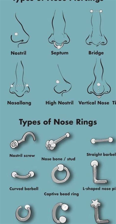 piercings nase cute nose piercings ear piercings chart piercing chart types of ear piercings
