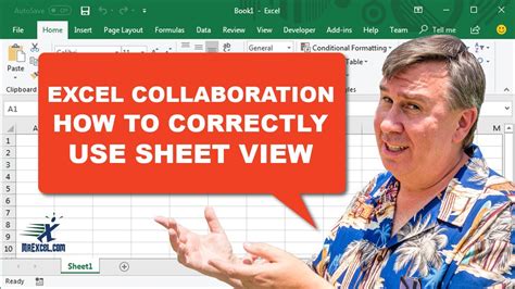 How To Effectively Use Sheet View While Collaborating In Excel 2461