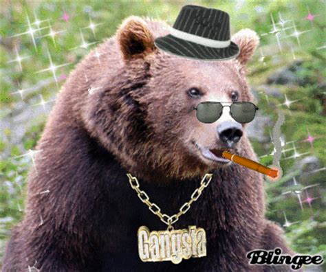 Break out your top hats and monocles; gangsta bear Picture #87179997 | Blingee.com