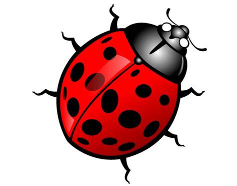 Clip Art Insects Clipart Best
