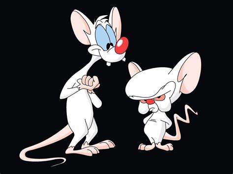 Pink E Cerebro Imagem