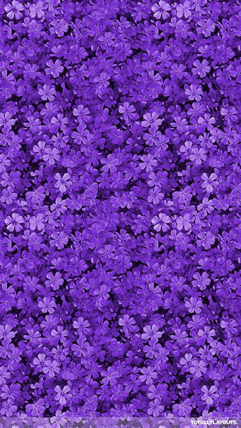 Purple flower backgrounds for desktop wallpaper 1920 x 1200 px 692.31 kb rose light vintage dark. FREE 30+ Purple iPhone Backgrounds in PSD | AI