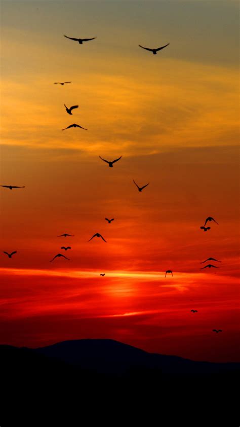 Beautiful Photography Iphone Sunset Wallpaper Hd Photos