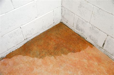 These classic basement doors are ideal for access to basement storage areas and are designed for installation on areas with sloped sidewalls built into the homes foundation. Do not hire a waterproofing company in New Jersey until ...