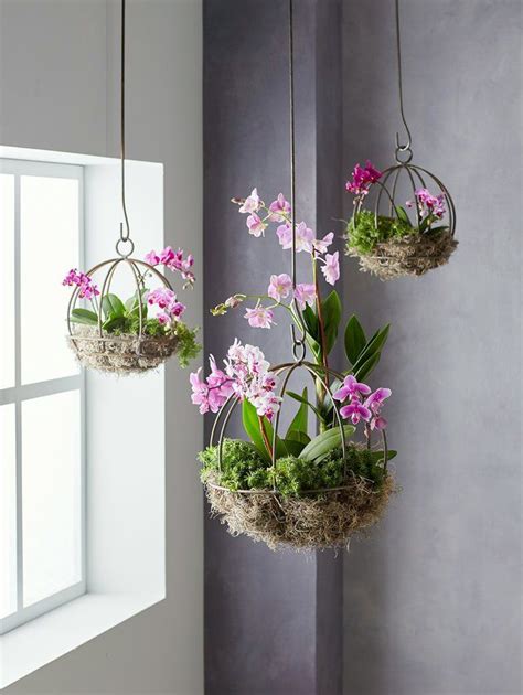 All You Need To Know About How To Hang Plants From The Ceiling