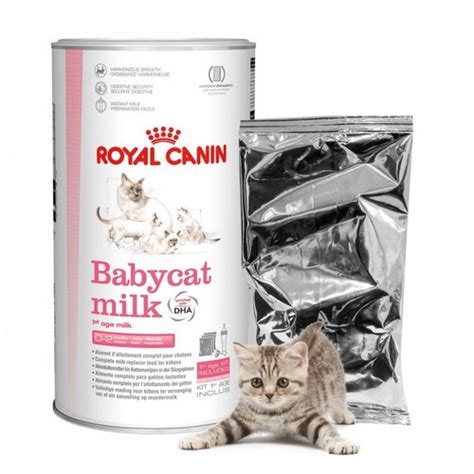 Jual Susu Kucing Royal Canin Babycat Milk 300gr Baby Cat Kitten Rc 300