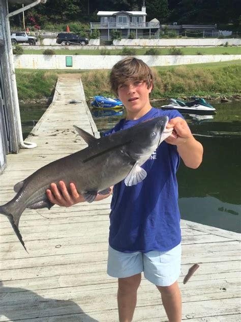 Celebrity angler visits G'ville Lake | News | advertisergleam.com