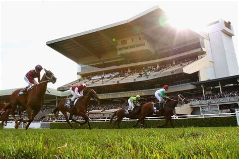 Randwick Racing Preview And Best Bets Saturday March 6 2021