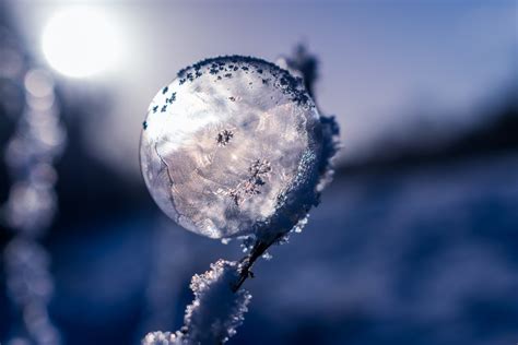Free Images Water Snow Cold Winter Light Sunlight Glass