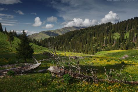 Nature sunrise landscape scenery forest sunset sky lake mountains scenic. Scenic landscape near Tekes village · Kazakhstan travel ...