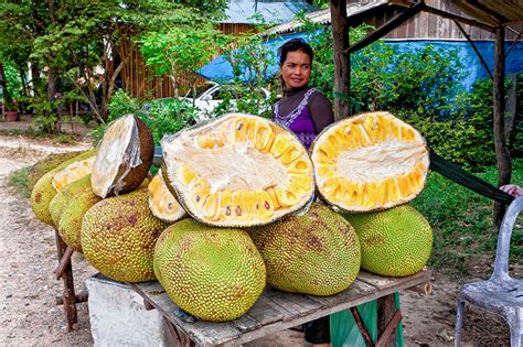 Jackfruit Jaca Yaca ¿la Conoces Servicio De Información