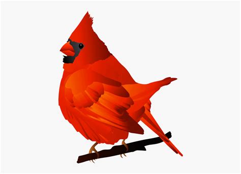 Cardinal Clip Art 20 Free Cliparts Download Images On Clipground 2024