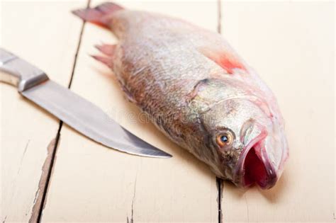 Fresh Whole Raw Fish Stock Image Image Of Cuisine Close 46418359