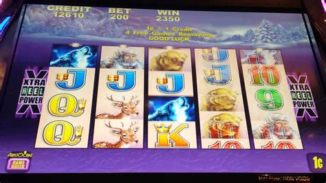 Big Win Timber Wolf Slot Max Bet Youtube