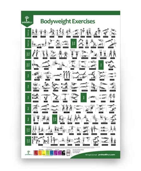 Bodyweight Exercises Poster Prohealthsys