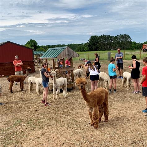 Cotton Creek Farms Thompsonville All You Need To Know Before You Go