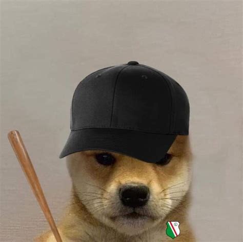 Pin By Mr Kizz On Dog With Hat In 2020 Dog Icon Dog