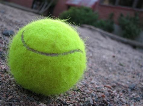 Hairy Ball Tennis Ball Ball Tennis