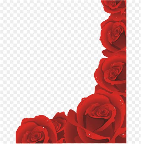 Free Red Rose Border PNG Transparent With Clear Background ID 81313