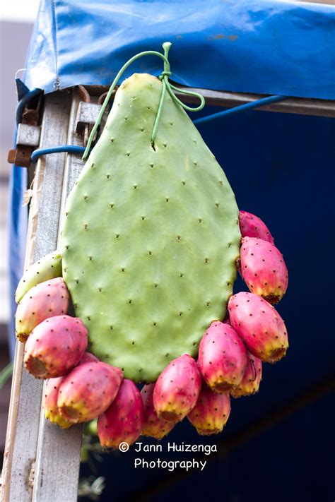 So many hispanic people eat nopales (prickly pear cactus). baroquesicily.com - Sicily Stories and Travel Tips from ...