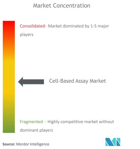 Cell Based Assay Market Size Share Analysis Industry Research