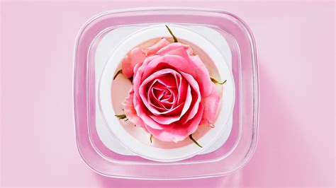 Does micropen help with uneven skin texture. Six Common Skin Problems, Solved! | Skin problems, Improve ...