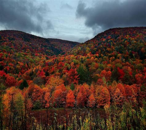 Alppalachian Mountains Kentucky 2880x2560 Oc Autumn