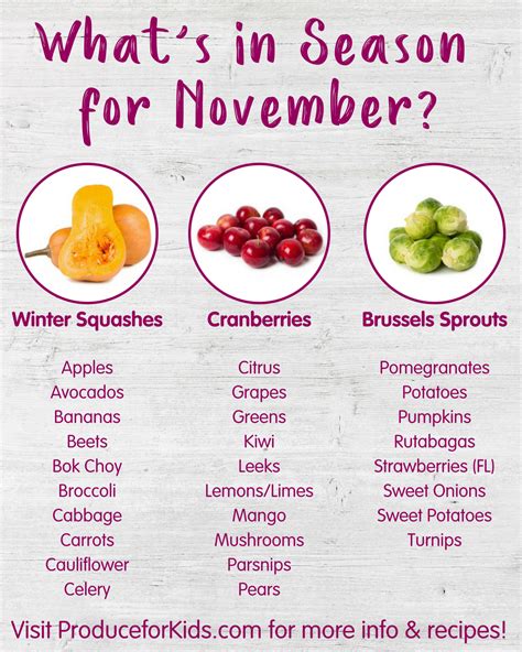 Whats In Season For November Produce For Kids Season Fruits And